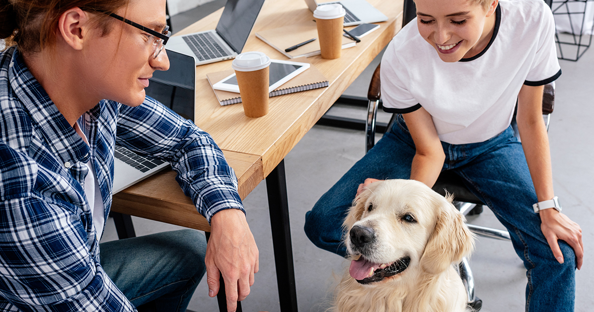 Hund på jobbet – vad gäller?