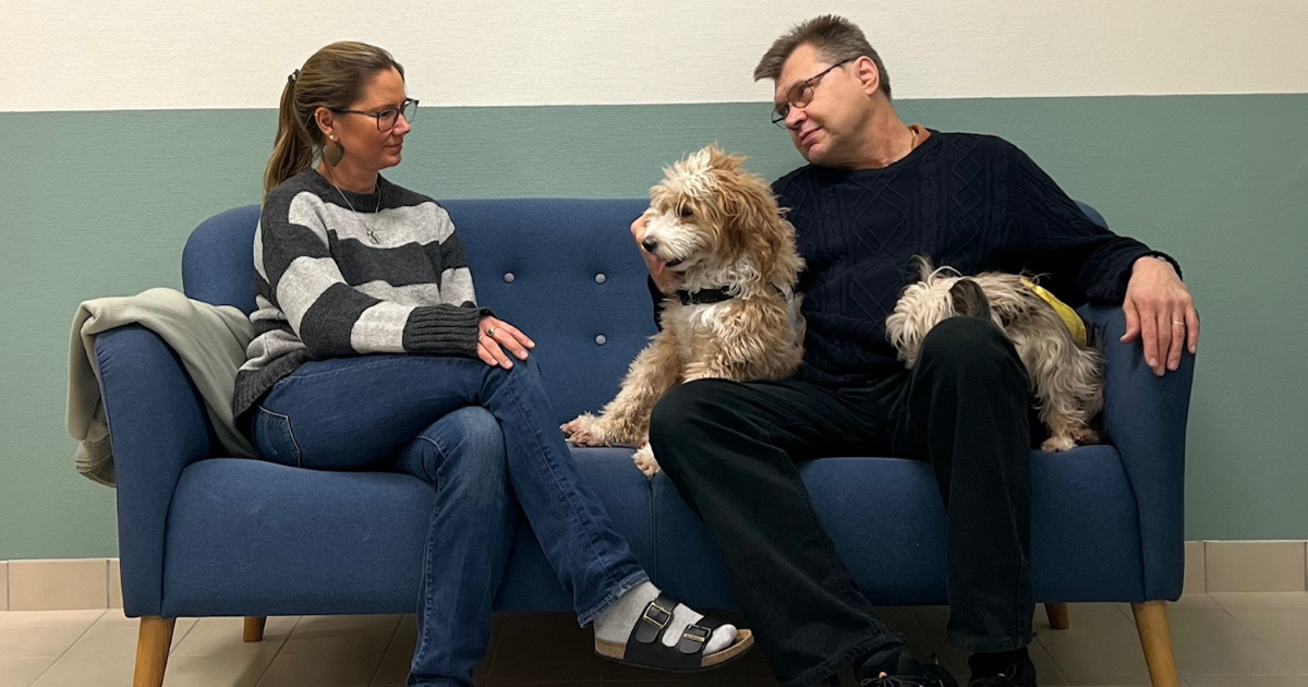 Stort stöd bland svenskar för sociala tjänstehundar i vård och skola